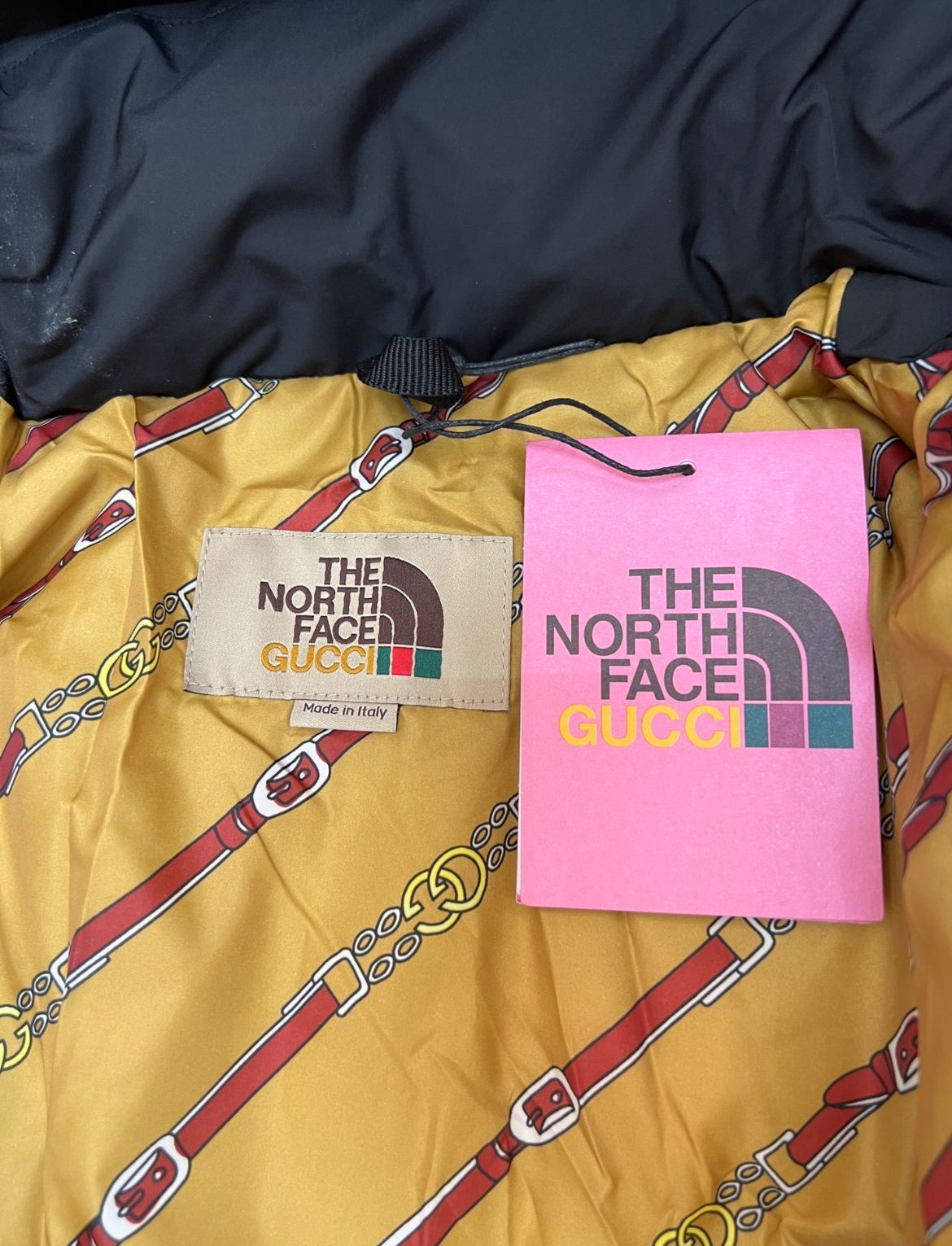 THE N0RTH Face x GUCCl