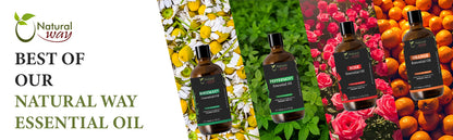 SureCapix Tea tree